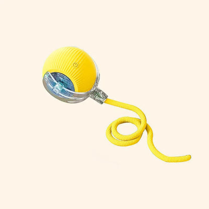 Cattuila™ cat toy ball