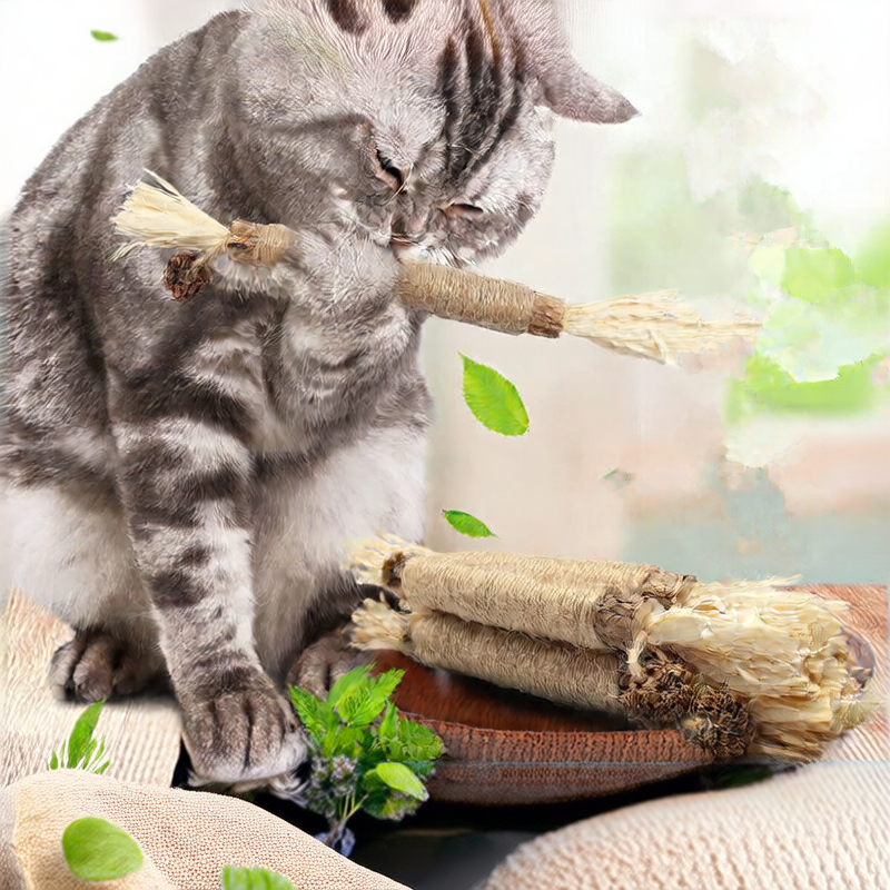Cattuila™ Cat Chew Toy