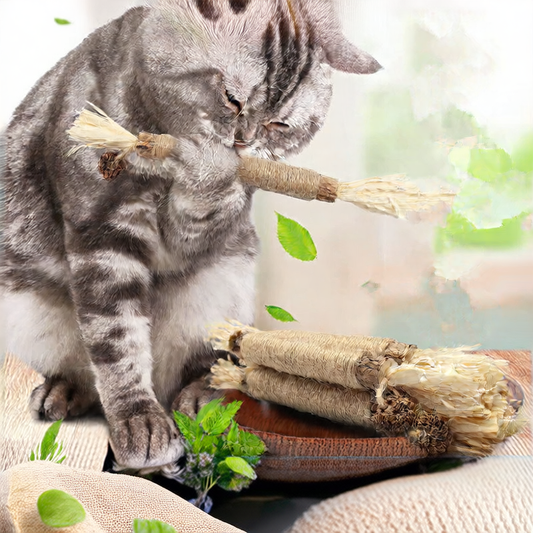 Cattuila™ Cat Chew Toy